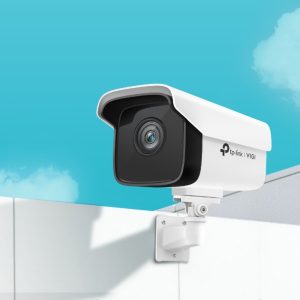 VIGI C300P — изображение 1